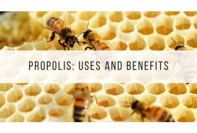 Propolis_Uses_Benefits_Blog_Image